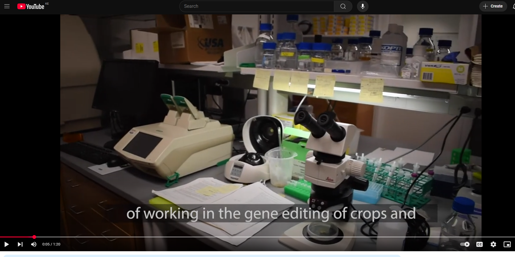 Gene editing improves crops